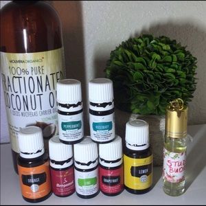 Study Buddy blend 10 ml roller 📚📖